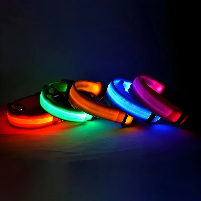 LightPet
