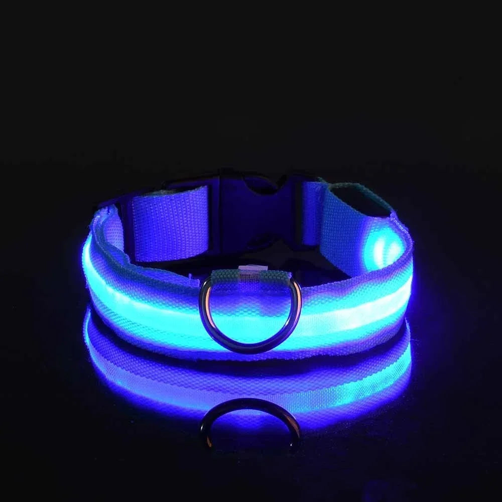LightPet