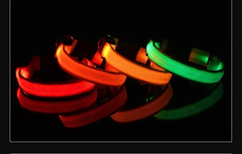 LightPet