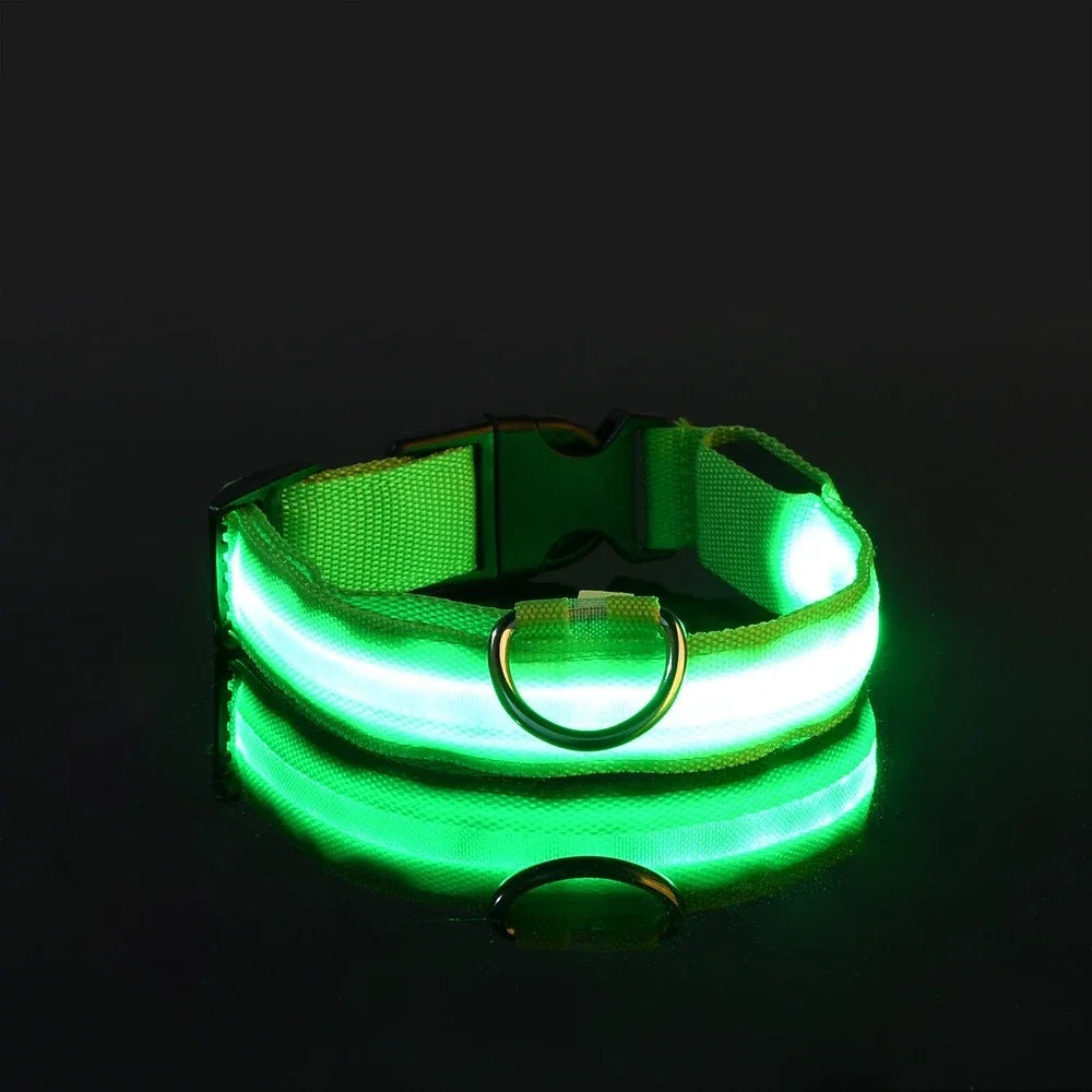 LightPet