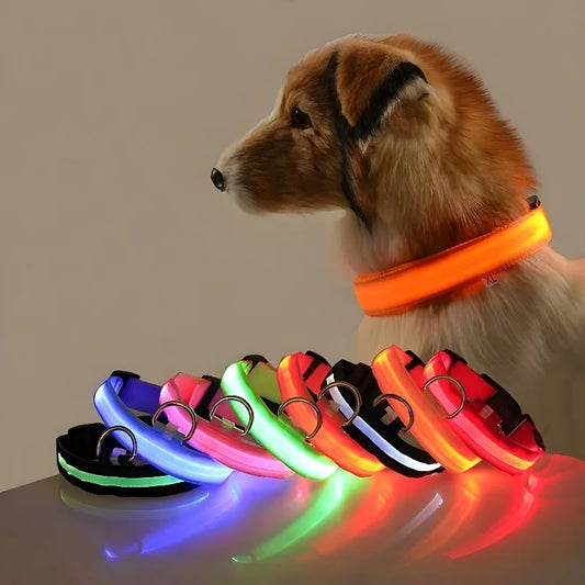 LightPet